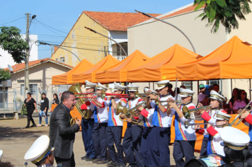 Foto - Desfile Cívico 2025
