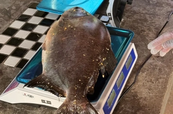 Foto - 34ª Campesca de Campina do Monte Alegre 