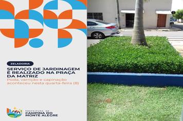 Serviços de jardinagem foram realizados na Praça da Matriz nesta quarta-feira (8)