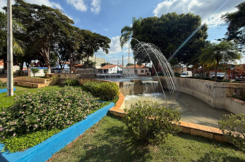 Campina do Monte Alegre – Onde a natureza encontra a tradição