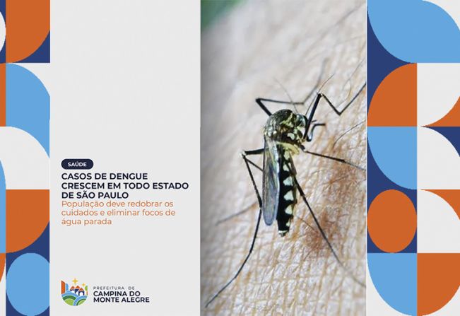 Dengue